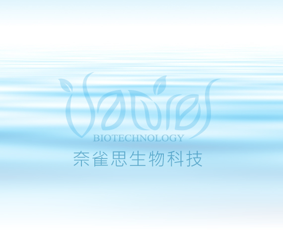 購物車系統已恢復正常運作
